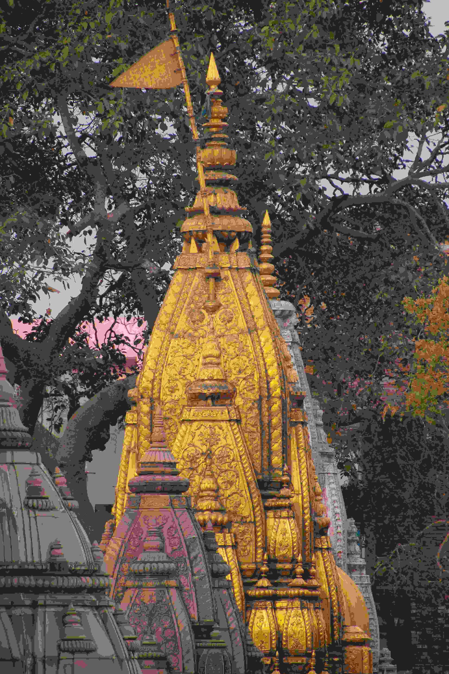 pexels-a-p-15142391-1-scaled